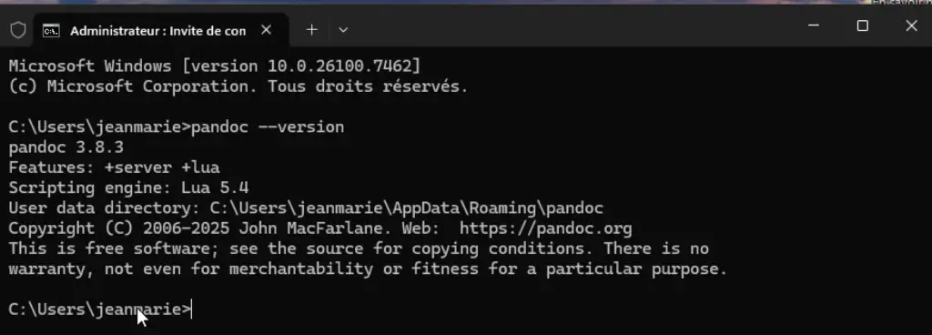 vérification de l'installation de Pandoc sur Windows